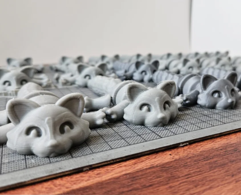 3d-waschbaer